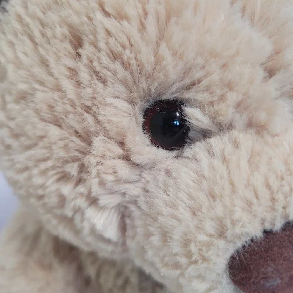 Aeropostale Brown Tan Sitting Bear Plush Stuffed Animal 12" - Picture 2 of 10